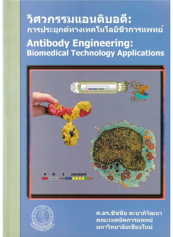 วิศวกรรมแอนติบอดี (antibody engineering) การประยุกต์ทางเทคโนโลยีชีวการแพทย์