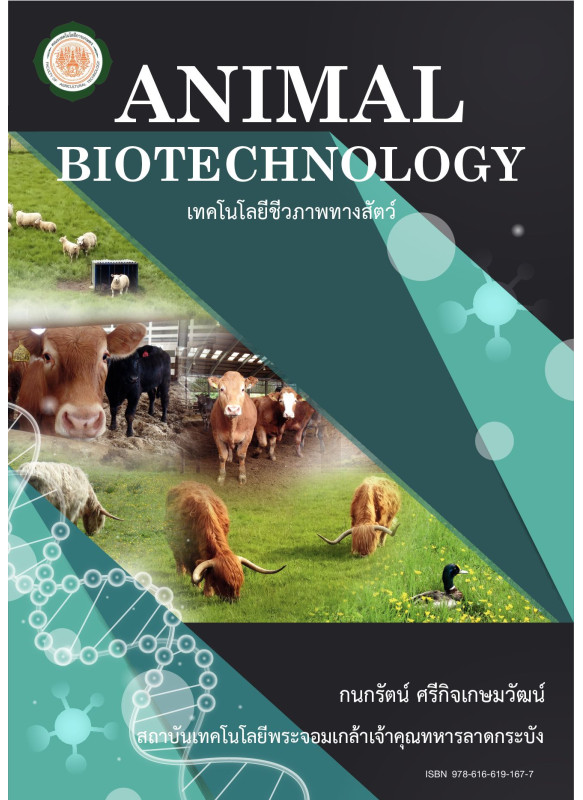 เทคโนโลยีชีวภาพทางสัตว์  Animal Biotechnology