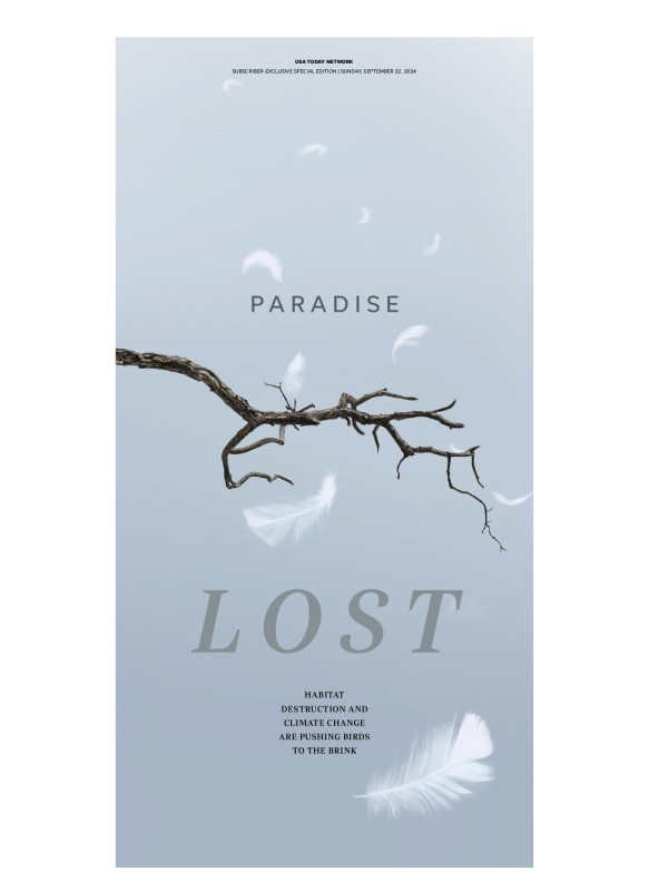 Paradise Lost